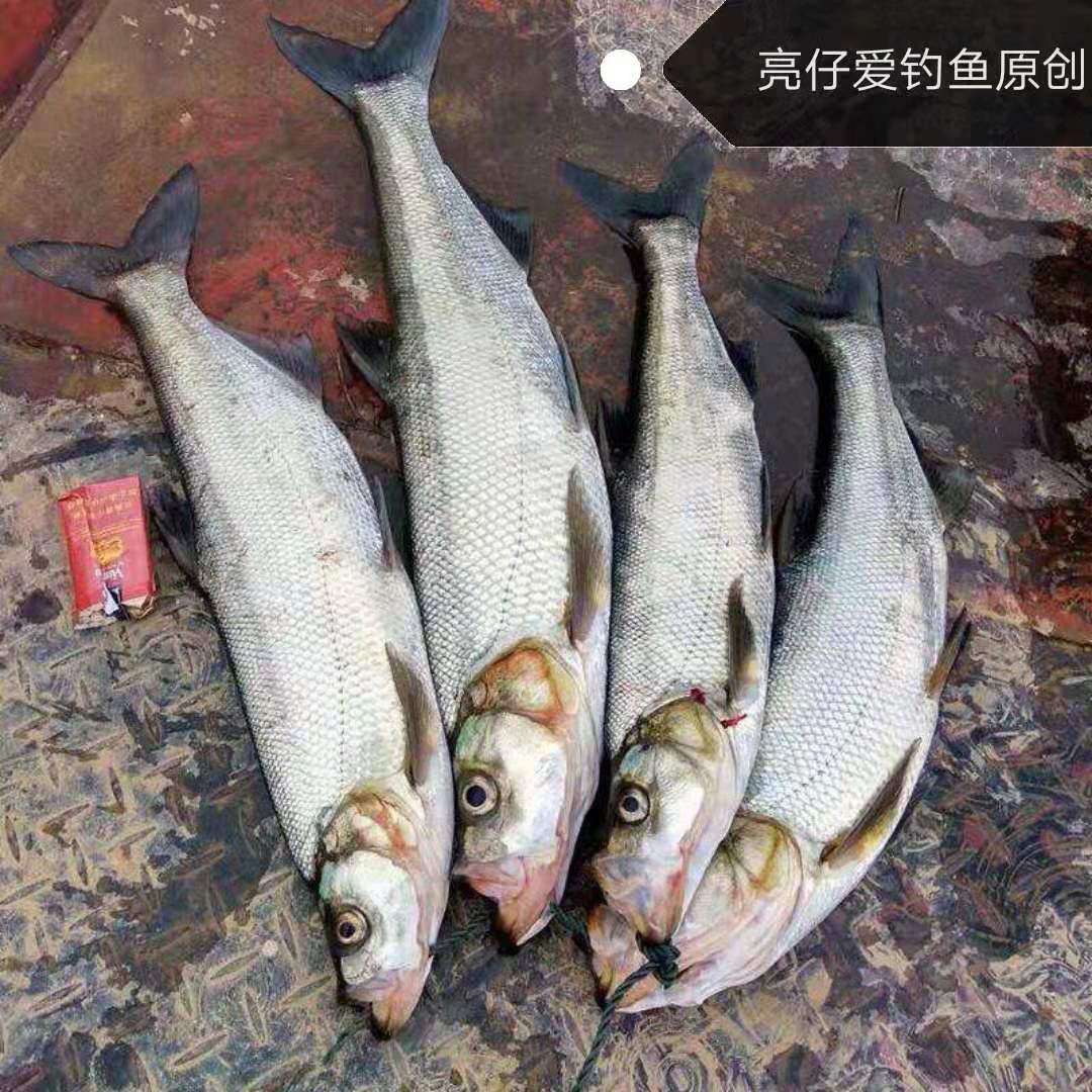 路亚翘嘴的操作手法和技巧(老手也不一定做得到这些) - 去钓鱼