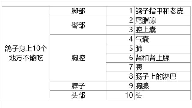 鸽子喜欢吃什么，家养的鸽子吃什么（23年一级大厨专业详细讲解）