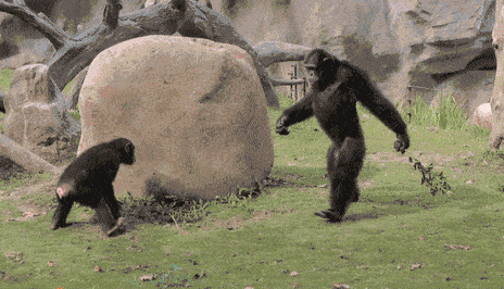 阴虱怎么治疗，阴虱怎么治疗硫磺软膏（30年前男女老少都长虱子）