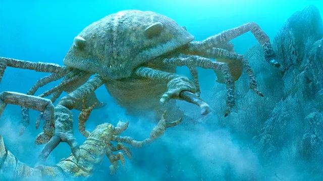 宇宙进化系统，为什么只有人类进化出高度发达的大脑