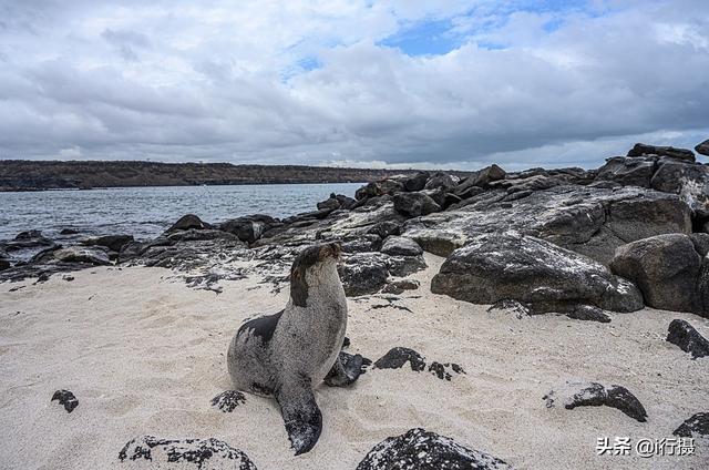 厄瓜多尔在哪里，厄尔多瓜具体在哪里（走进厄瓜多尔——世界上唯一以“赤道”命名的国家）