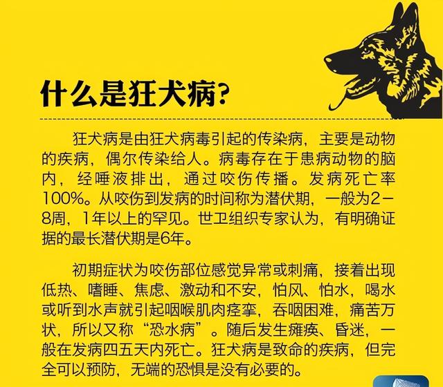 最有效的驱狗方法，恶狗攻击男童致重伤