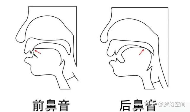 前鼻韵母有哪些，前鼻韵母有哪些9个（这套前后鼻音训练法真有用）