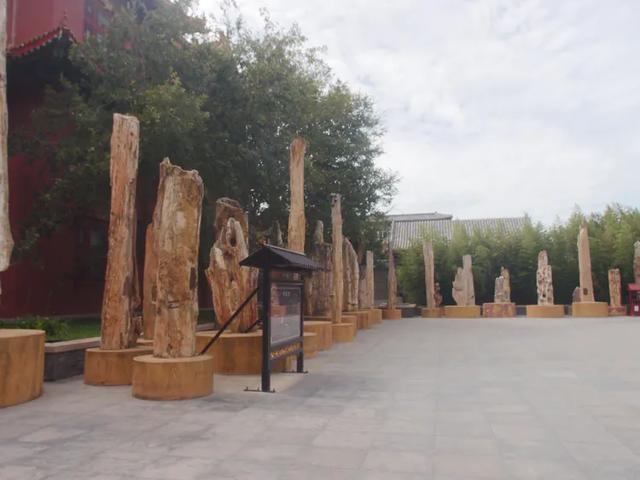 三仙山是哪三仙，三仙山是哪三仙何为方丈瀛洲（<7>扶老携幼花甲游〈桂枝香1首>）