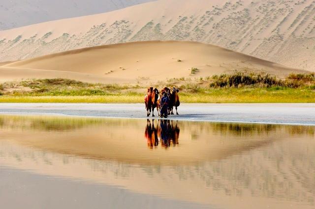 暑假适合带孩子旅游的地方有哪些？推荐8个凉爽的景点