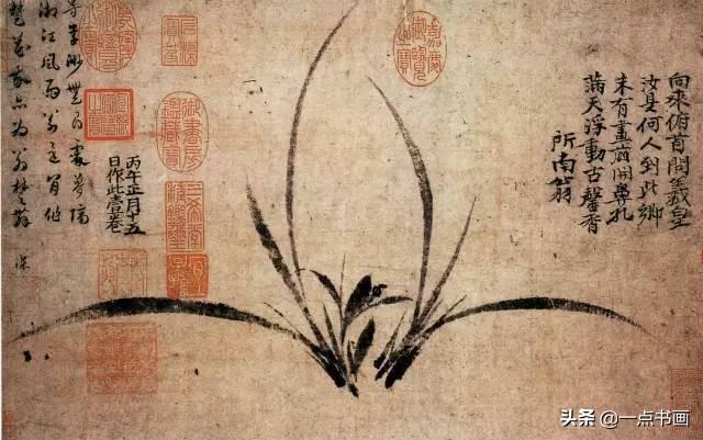 兰花的品质与精神，梅花代表了什么（兰花之美，君子之德）