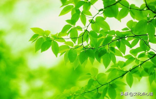 留恋不舍的句子，对一个地方留恋不舍的句子（十首深情唯美相思词）