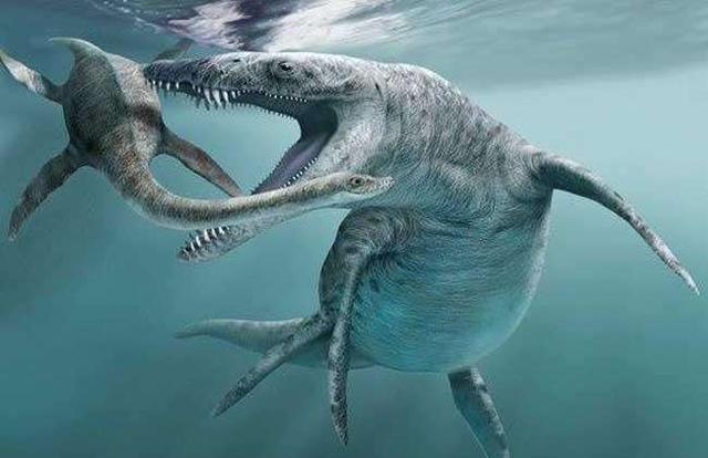 最大的动物，地球已有的最大动物、植物、真菌都是啥（最大的动物体重约多少吨）