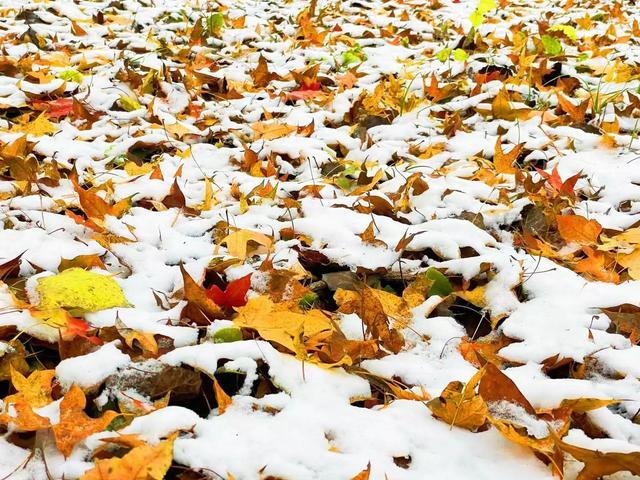 慌慌张张匆匆忙忙，匆匆忙忙慌慌张张是什么歌（慌慌张张，匆匆忙忙的一年）