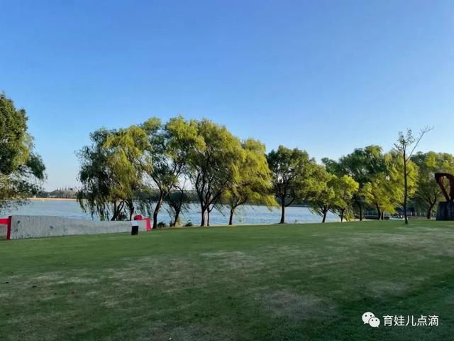 月湖雕塑公园攻略，上海怎么旅游省钱（月湖雕塑公园-面积大人不多除了贵和远其他都很好）
