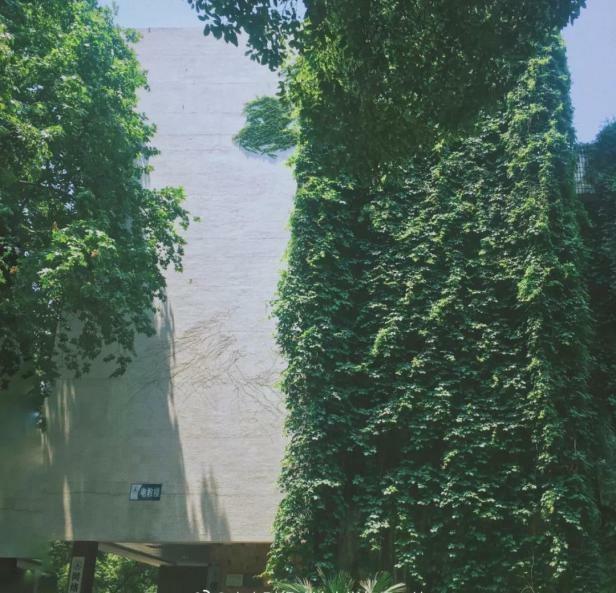 中南财经政法大学首义校区，中南财经政法大学首义校区地下为什么会有雷（藏有15组不为人知的“密码”）