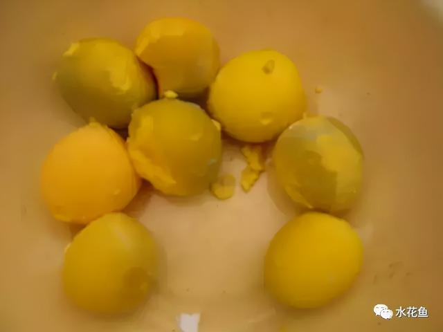 小鱼苗怎么做好吃，干小鱼怎么做好吃又简单（鱼苗绿色食物---熟蛋黄水、生豆浆饲喂养鱼法）