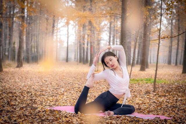 郯城银杏林在哪，郯城银杏林在哪个村（遇见2020年最后一抹秋色）