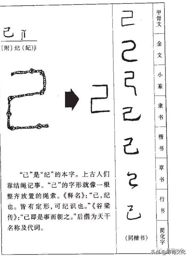 已是什么结构吗，已字结构是什么组词（己-汉字的艺术与中华姓氏文化荀卿庠整理）