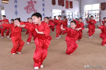 中国的拳法有哪些，中国的拳法有哪些名字（中国武术拳种概举）