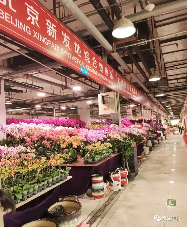 北京四大花市，丰台四大花市逛买攻略
