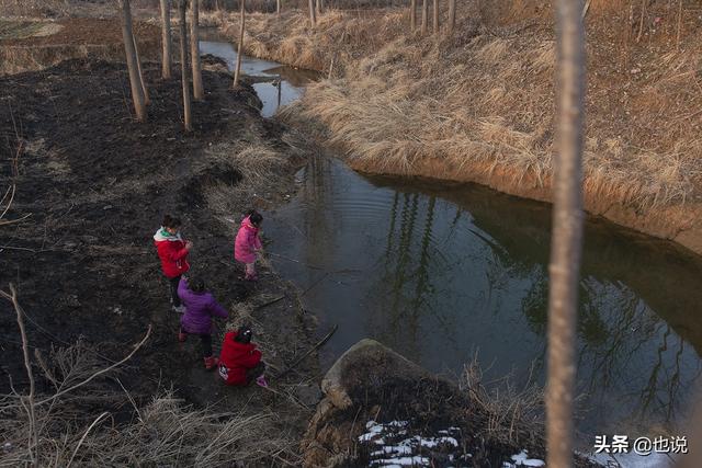 马虾怎么养，大马虾的养殖技术（你小时候也这么不怕冷吗）