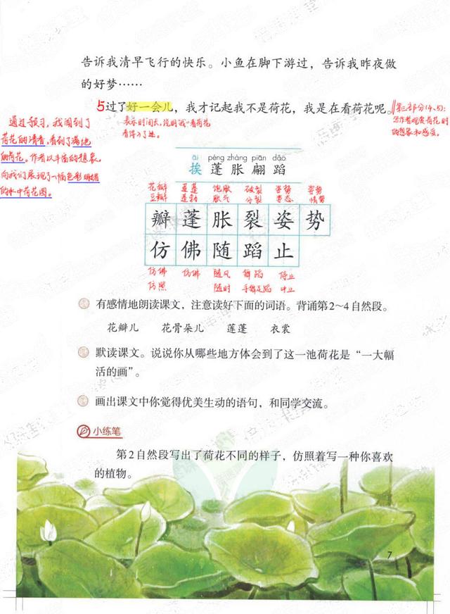 独角仙的特点是什么，独角仙的特点是什么什么,分别用了什么什么什么的方法（三年级语文下《第一单元课堂笔记》三个版本）