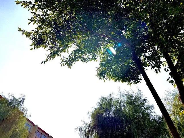 吉林师大博达学院，2021吉林师范大学博达学院排名（<五>吉林师范大学博达学院）