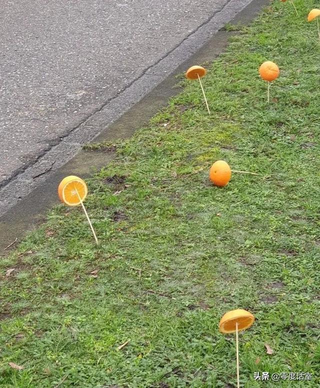 暖手宝里面是什么，暖手宝是什么成分（“网友什么都知道系列”）