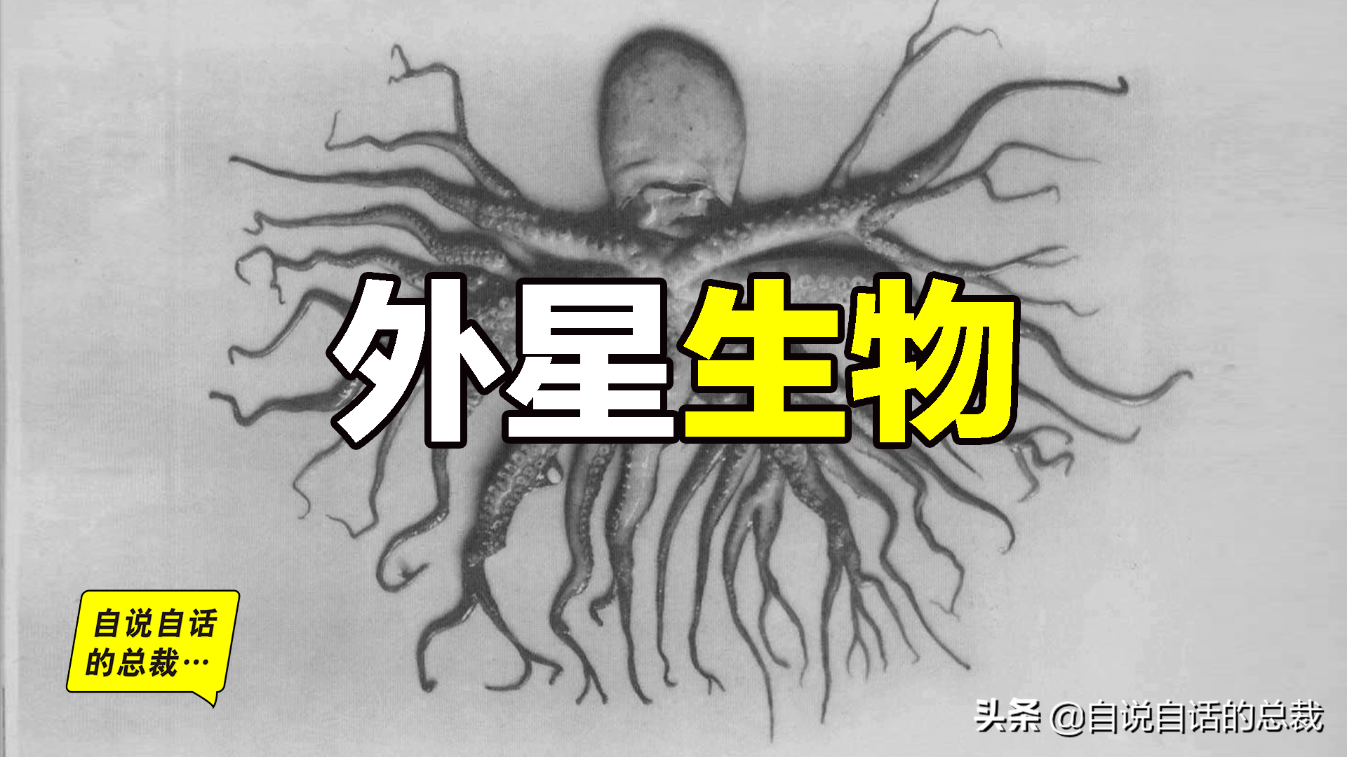 逃脱大师章鱼：海底越狱高手，智勇双全的八爪神秘逃犯
