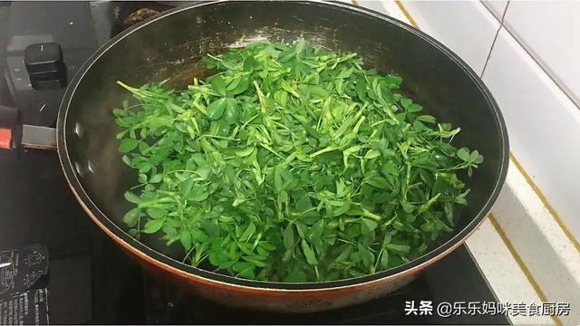 十大碱性食物排名，十大碱性水果排名（春季苜蓿正鲜嫩）