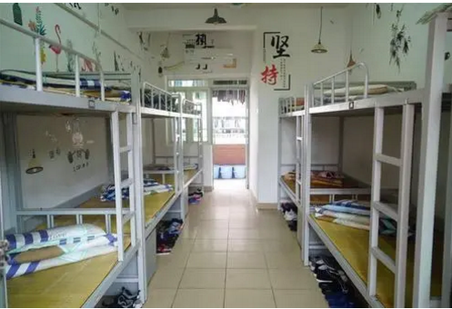 打地铺的注意事项，楼上打地铺可以吗（哈工大学生在行政楼前打地铺）