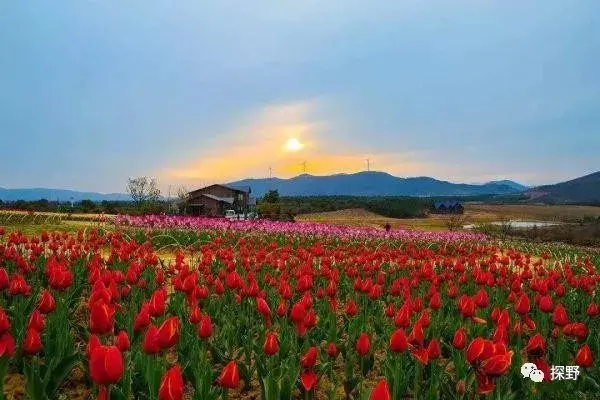 安徽月亮湾自驾游攻略，安徽月亮湾风景区（安徽这5条安徽自驾游经典线路必须去）