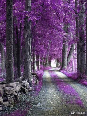 内蒙古人所说的风季是哪个季节，蒙古人的风季是什么季节（中国历史地理常识大全）