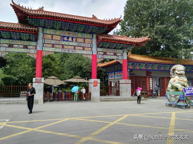 家常千子怎么烧好吃，烧千子的做法大全家常（舌尖上的美食——千子）