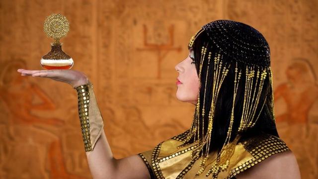 库拉索芦荟的功效与作用，库拉索芦荟（为何库拉索芦荟能一枝独秀）