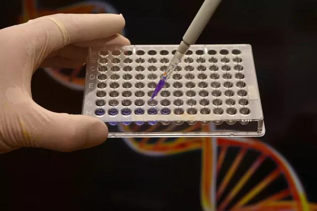 为什么pcr技术可以检测目的基因,一文带你读懂基因检测核心技术——PCR 为什么pcr技术可以检测目的基因,一文带你读懂基因检测核心技术——PCR