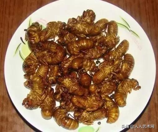 山东诸城的具体资料，诸城百度百科（诸城简历竟然是这样的）