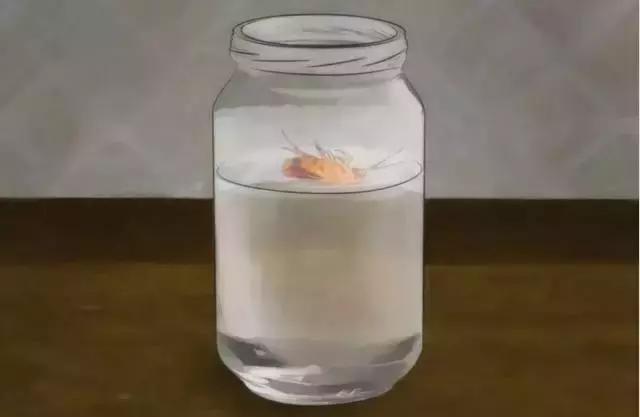 消灭蟑螂的小妙招，消灭蟑螂的小妙招最好的办法（最全的灭蟑螂方法都在这里了）