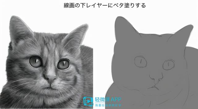 7步教你学会画老虎，7步教你学会画老虎视频（动物简单画法技巧）