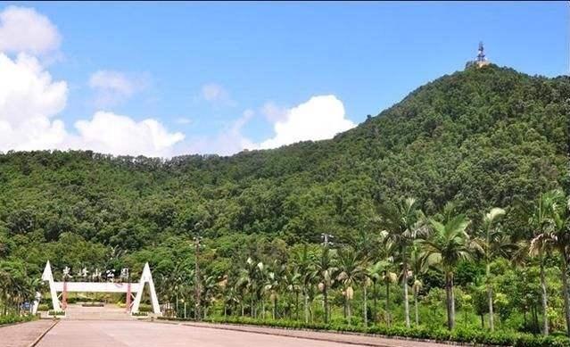 珠海哪里爬山风景最好，珠海哪里爬山风景最好看（珠海最美十大名山）