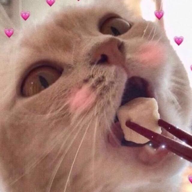 可爱搞怪的猫咪头像微信，可爱搞怪的猫咪头像（搞怪猫咪头像表情包）