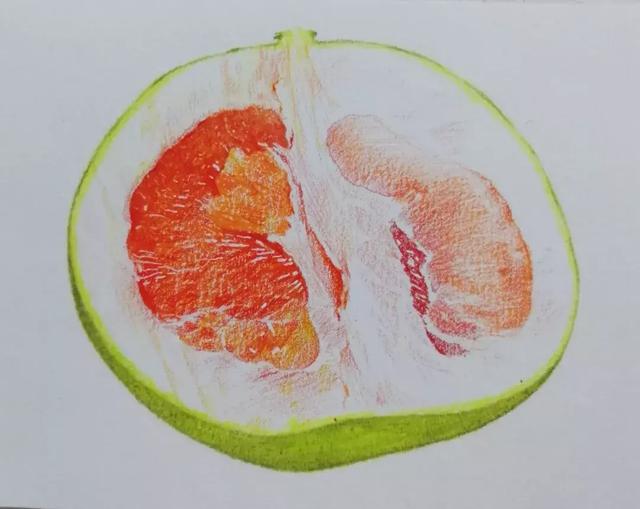 简笔画柚子怎么画，简笔画柚子怎么画好看（绘画~彩铅丨香甜可口的柚子）