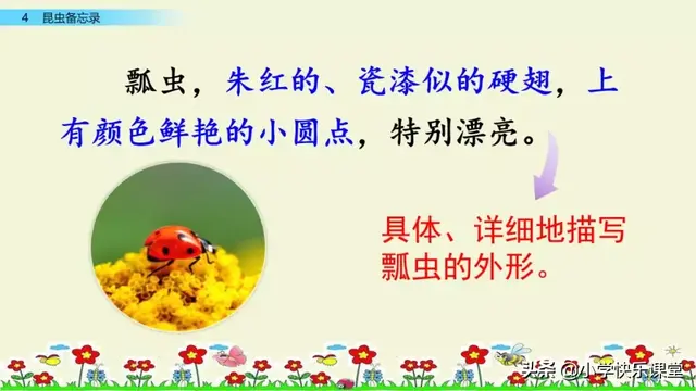 什么的硬翅，什么的硬翅？填四个字。（小学部编三年级语文下第4课《昆虫备忘录》图文+知识点+同步练习）