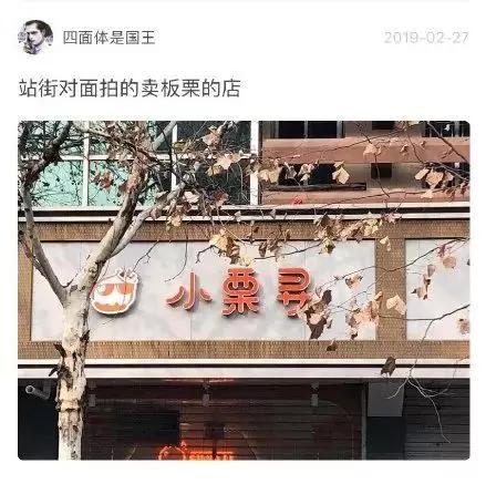 东北话方言句子，东北话十级经典语录（笑的我室友过来捶我）