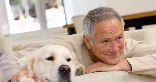 幼犬快不行的征兆，狗浑身无力发软像要死了一样（狗狗临终前的几大“征兆”）