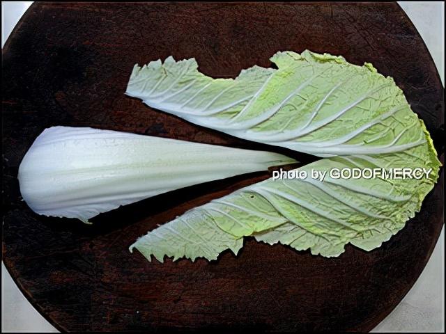 白菜怎么吃，白菜怎么吃解毒效果好（舒缓压力白菜炒肉片的做法）