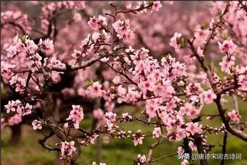杜牧最有名的十首诗，杜牧最好听的十首诗（首首都有千古名句,你都读过么）