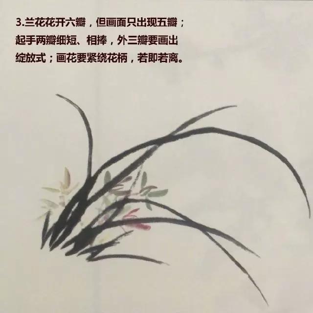 最简单的兰花画法，简单几步学习画兰草