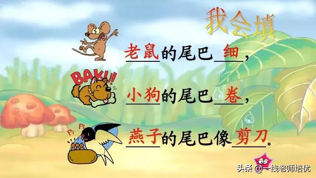 带有提手旁的字大多与什么有关，提手旁的字有哪些（部编版小学语文一年级上册第6课《比尾巴》重点知识+图文解读）