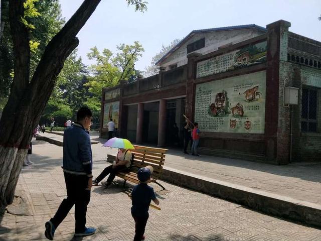 保定动物园里这几种动物特别有意思，保定市哪个动物园好玩（亲子逛吃逛吃逛吃~~）