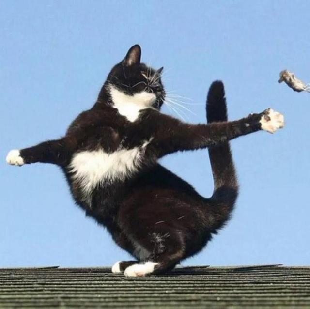 多人闺蜜简单漫画头像微信，多人闺蜜简单漫画头像（快来收图吧）