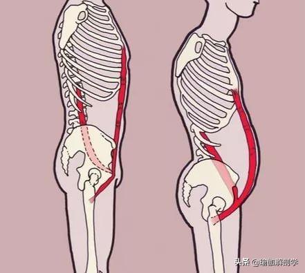 瑜伽减肥瘦腰方法，瑜伽减肥瘦腰方法图解（4个简单瑜伽动作每天躺着练）