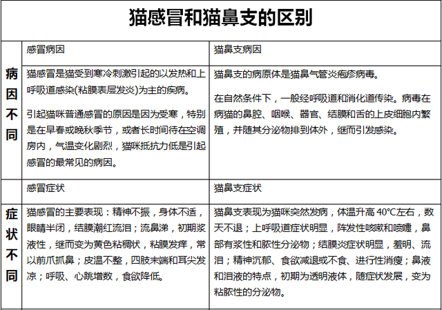 猫咪总是打喷嚏，猫猫不停的打喷嚏是怎么回事（需要着重注意这3个方面）