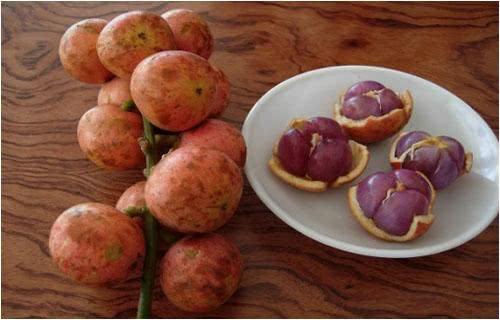 紫色的水果有哪些，粉红色的水果叫什么梅（7种高颜值紫色果子）